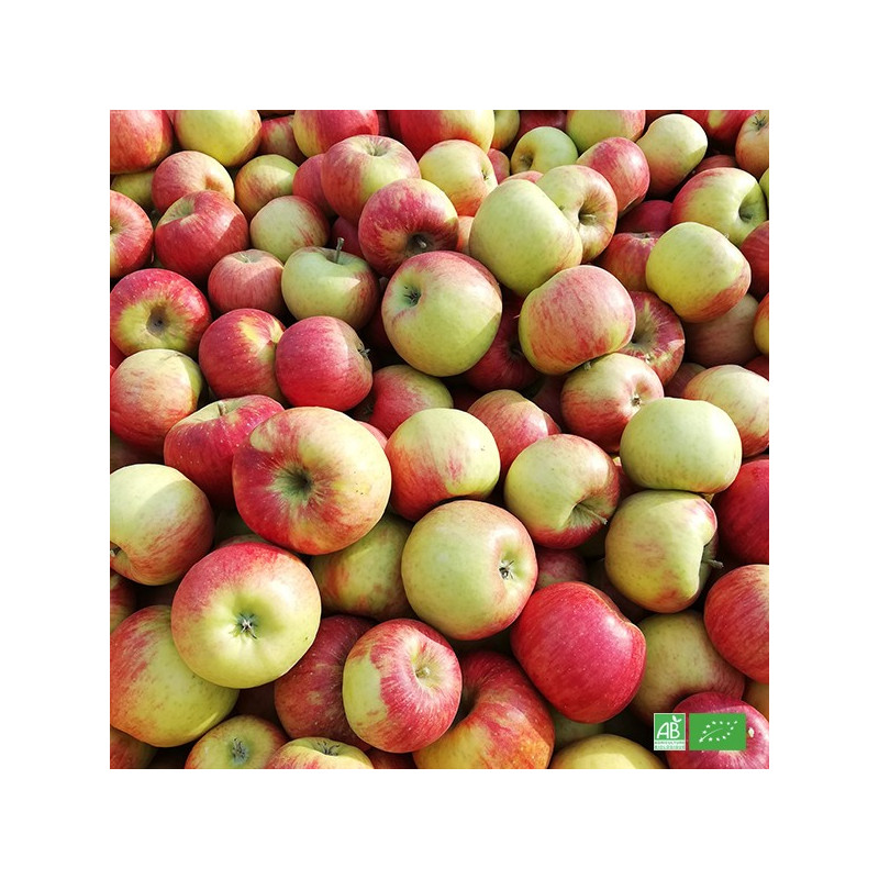 Box 2kg Pommes bio de table, issues des récoltes de Producteurs locaux certifiés Bio AB en Alsace et l'Est de la France