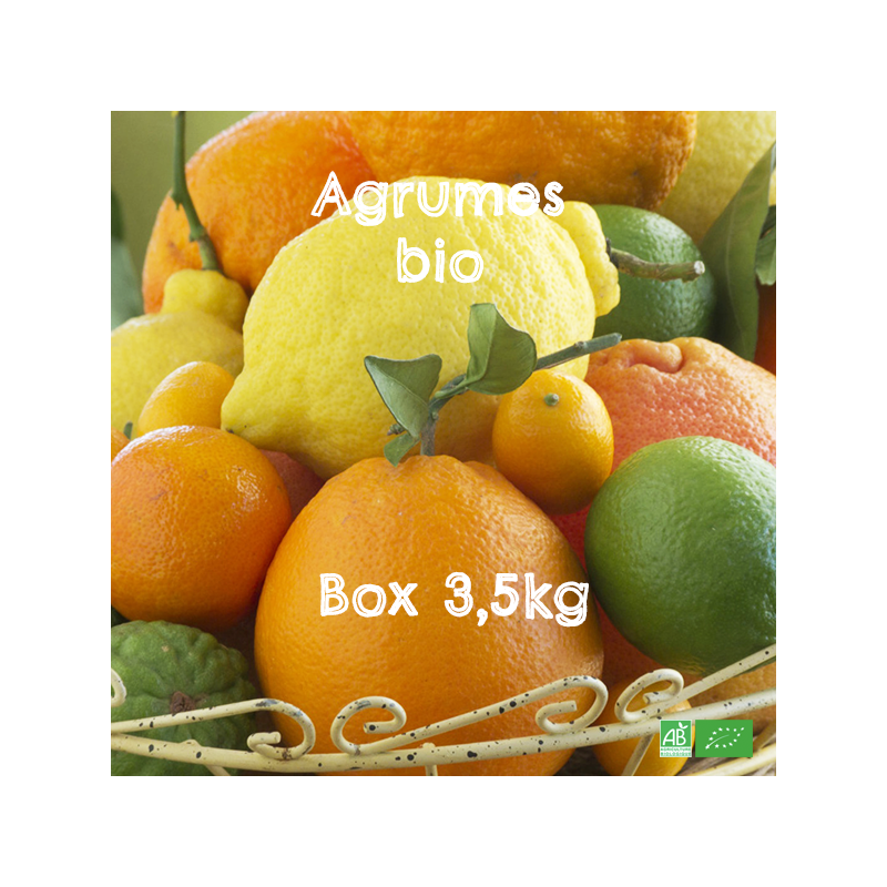 Petite Box d'Agrumes bio pour Petite Tribu, en Circuit Court Arboriculteurs bio d'Europe du Sud