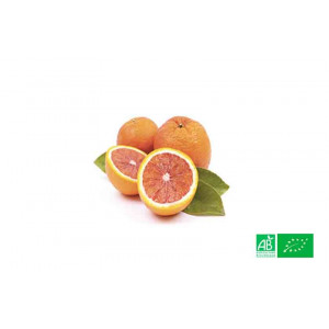 Orange semi sanguine bio cultivées selon les normes AB par les agriculteurs bio partenaires de VEGETAL RESPEKT