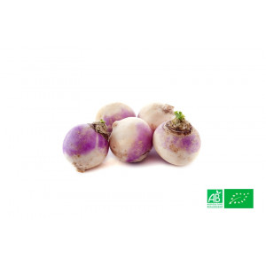 Box 2,5kg de Navets bio nouveaux violets cultivés dans nos champs en Alsace Lorraine