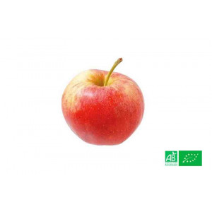Pomme royale Gala du Chili 1kg cultivées selon les normes bio AB pour notre maraicher bio VEGETAL RESPEKT en Alsace Moselle