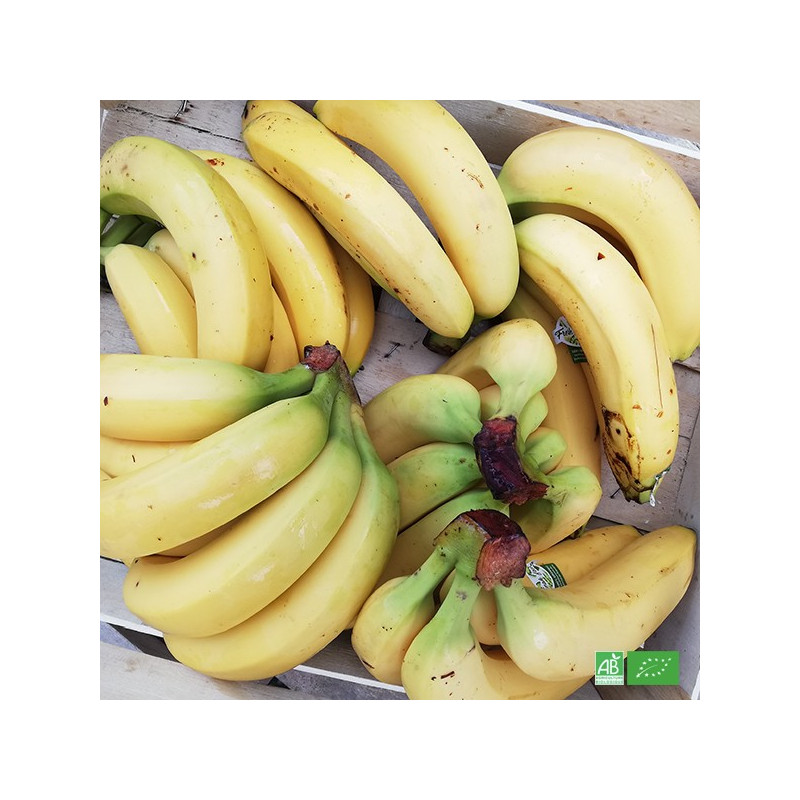 Box de Bananes bio en circuit court Producteurs et Commerce Equitable, livrable par notre équipe chaque semaine à domicile