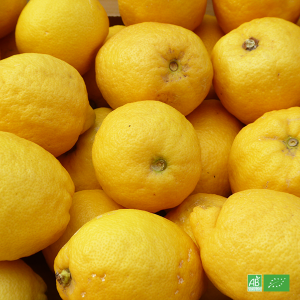 Citron jaune bio en direct des Producteurs de Sicile