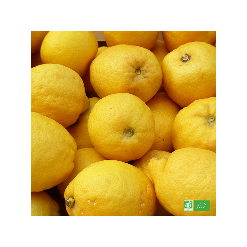 Citrons jaunes Bio (250g) - Cultures Solid'ère