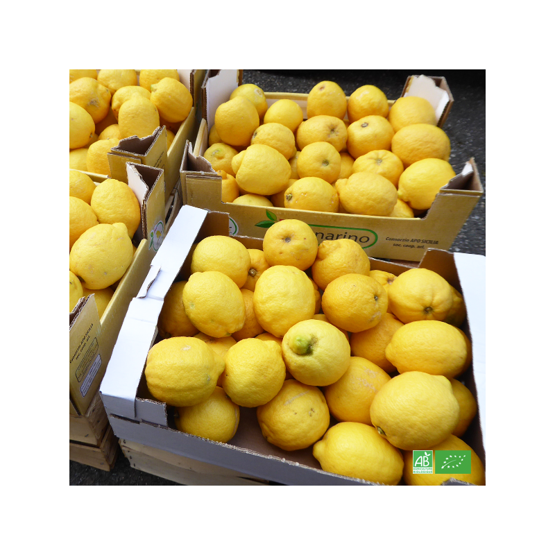 Lot 10kg de Citrons bio de Sicile, en direct des Coopératives d'Italie