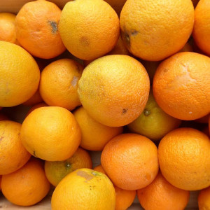 Oranges bio de table en direct des producteurs certifiés bio d'Espagne