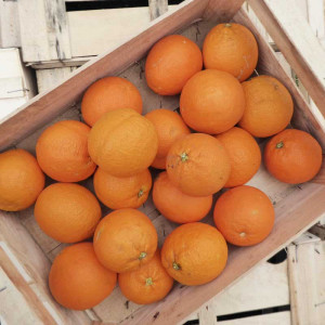 Oranges sanguines bio de Sicile