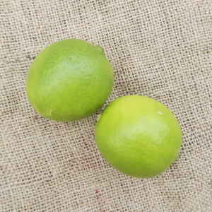 2 pièces de Citron vert Lime bio