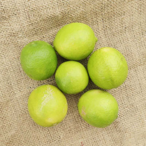 1kg de Citron vert bio
