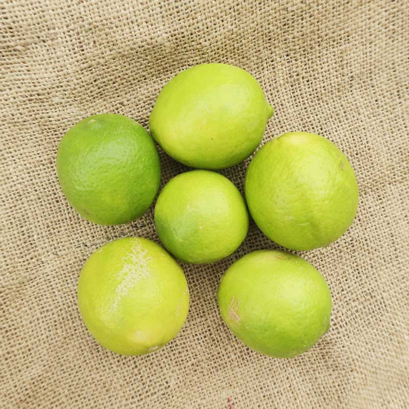 500g de Citron Lime vert bio
