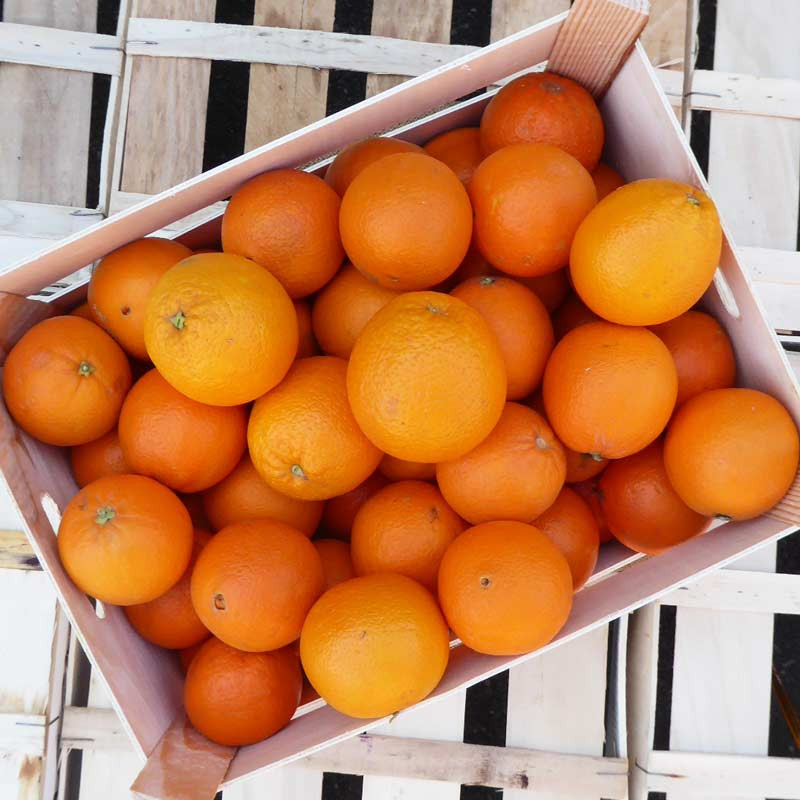Box Oranges de table bio Demeter, en direct des Producteurs bio de Sicile