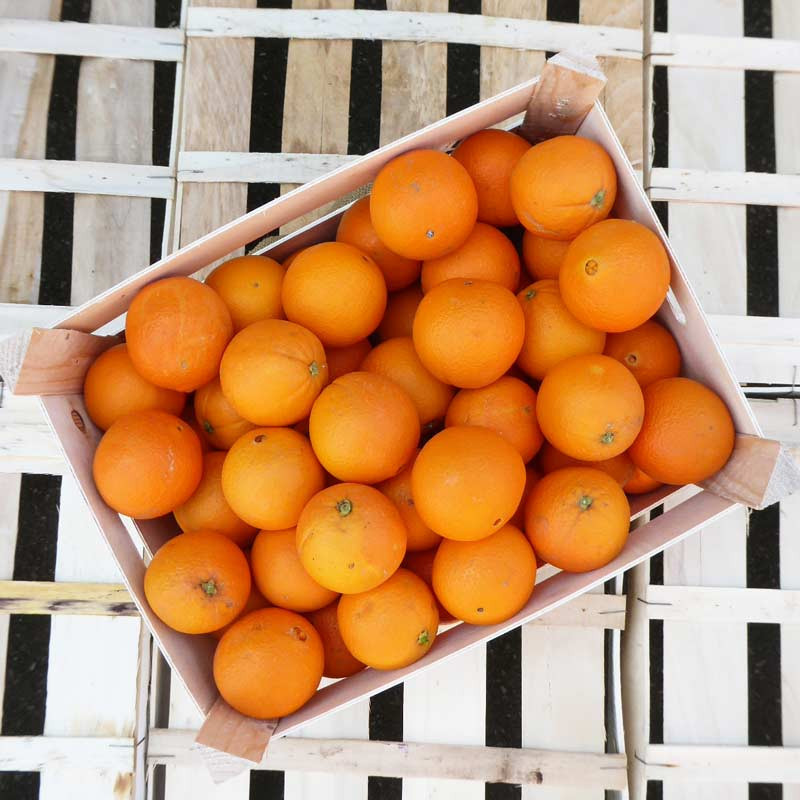 Mandarines bio d'Italie