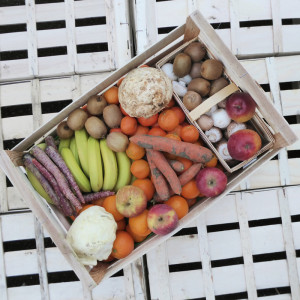 Panier moyen de Fruits & Légumes bio, en Circuit court Producteurs
