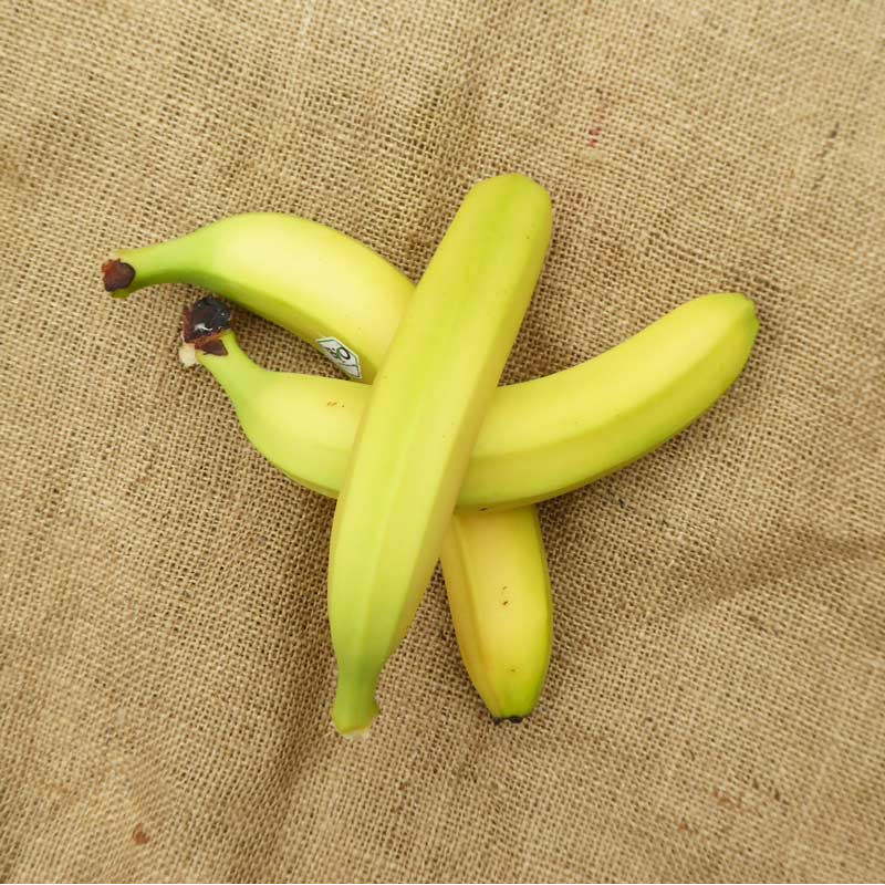3 pièces de Bananes bio