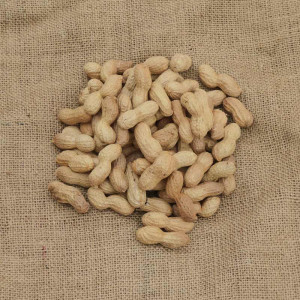 Cacahuète bio en coque d'Egypte cultivée par nos producteurs bio pour notre ferme bio en Alsace Moselle