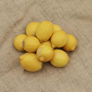 1kg de Citrons jaunes bio Demeter de Sicile