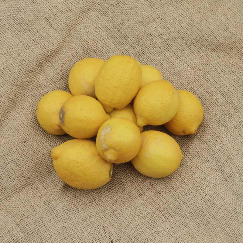 Citron jaune bio la pièce env 150 g. 