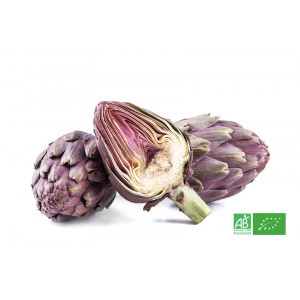 Artichaut bio violet fermier & fruits légumes bio frais du maraicher en Alsace Lorraine