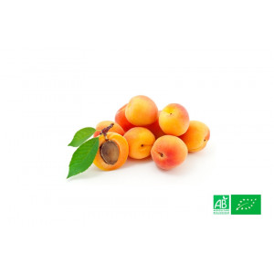 Abricot du Roussillon bio cultivé aux normes bio AB