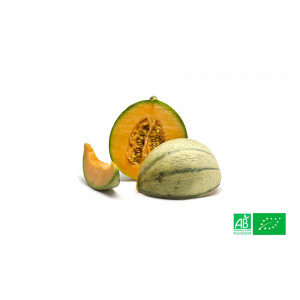 Melon charentais cultivé aux normes bio AB pour le compte de notre ferme écologique VEGETAL RESPEKT