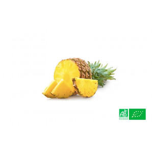 Ananas bio cultivé en zone tropicale par des exploitants agricoles bio