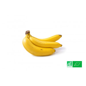 500gr de Bananes bio labelisées Demeter cultivées selon les principes strictes de l'agriculture biodynamique