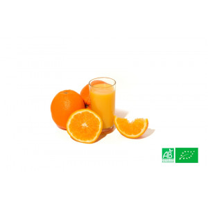 500gr d'oranges bio à jus cultivées aux normes bio AB pour notre maraicher bio VEGETAL RESPEKT en Alsace Lorraine
