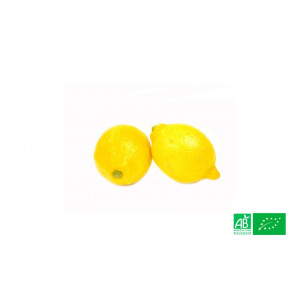 Citron jaune bio de Sicile