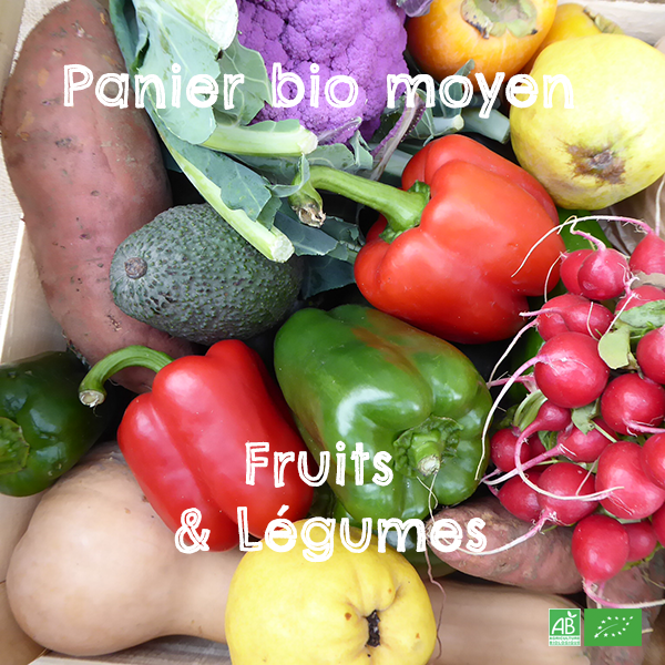 Panier bio moyen Mélange Fruits & Légumes