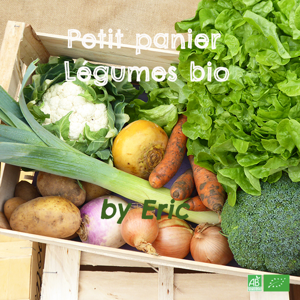 Premium quality Organic Veggies Baskets Small Size straight from Local Producers in Alsace